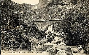 Tlemcen 162- Collection Montaner